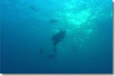Video8