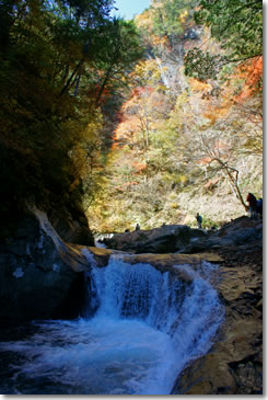 nishizawa12