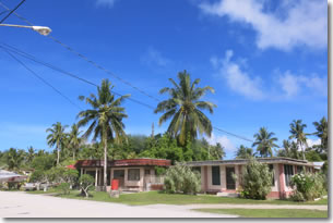 Pelelu1
