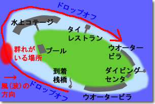 Map4