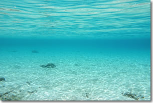 beach9