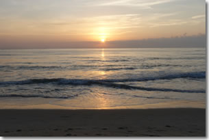 beach8